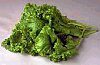 Mustardgreens