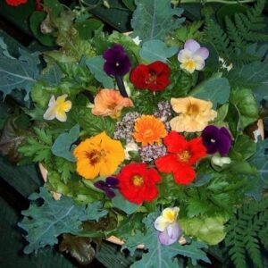 Edible Flowers in a salad with Dandelion leaves